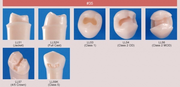 Model zubu pro ppravu pile mstku a itn zubu ped vpln (zub . 35)