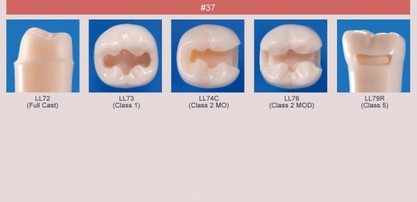 Model zubu pro ppravu pile mstku a itn zubu ped vpln (zub . 37)