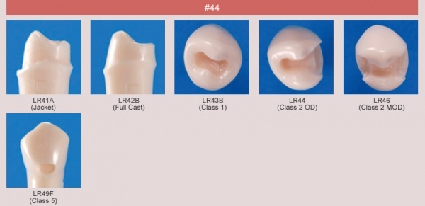 Model zubu pro ppravu pile mstku a itn zubu ped vpln (zub . 44)