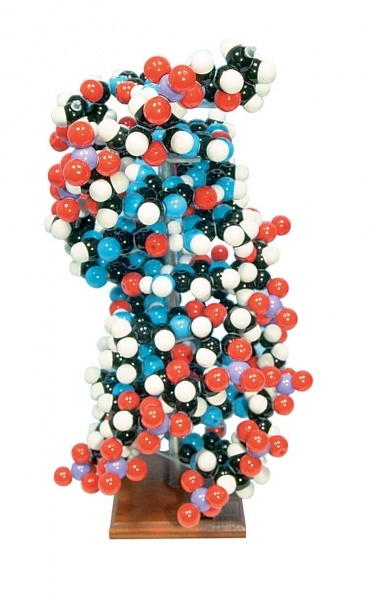 MKS-122/2  Sada pro model DNA