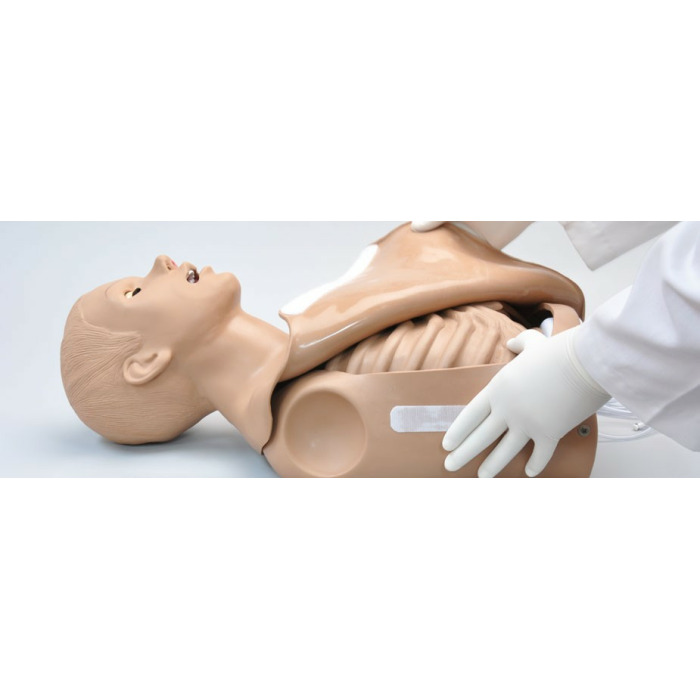 S308 - Simon BLS pro vuku CPR - torso