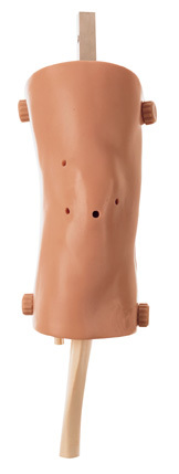 AC10 / 3 - Artroskopický model kolena