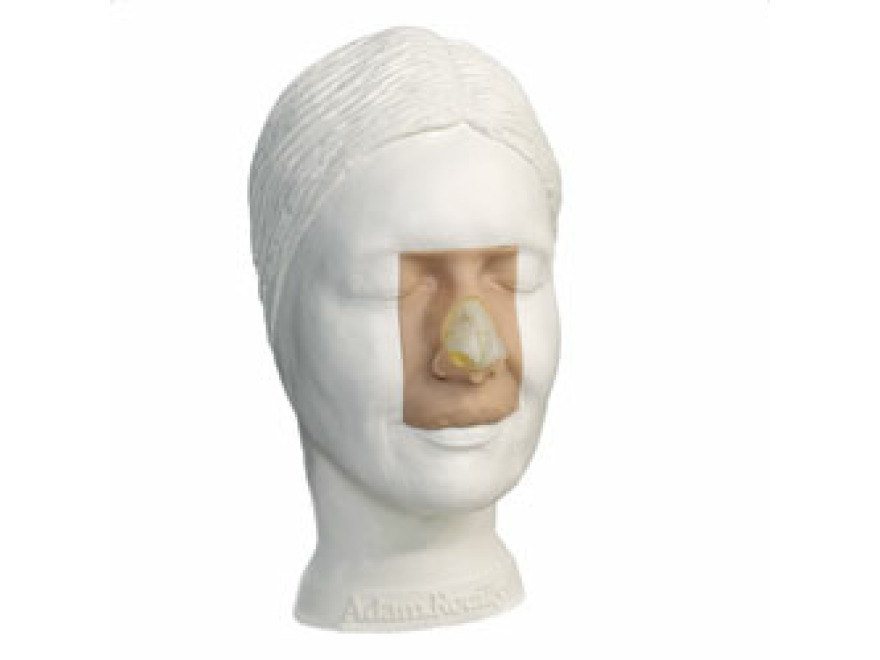AR361 - Model plastiky nosu